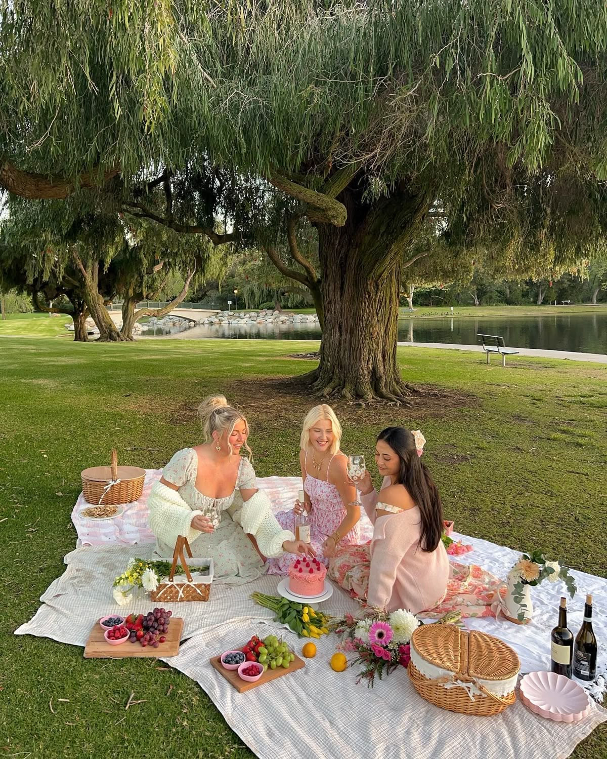 Auckland Girl Christmas Picnic